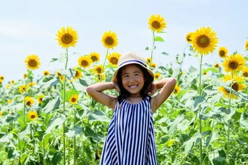 共働き家庭は先手必勝!「学童もう飽きた」恐怖の夏休みを学びに変えるヒント イメージ