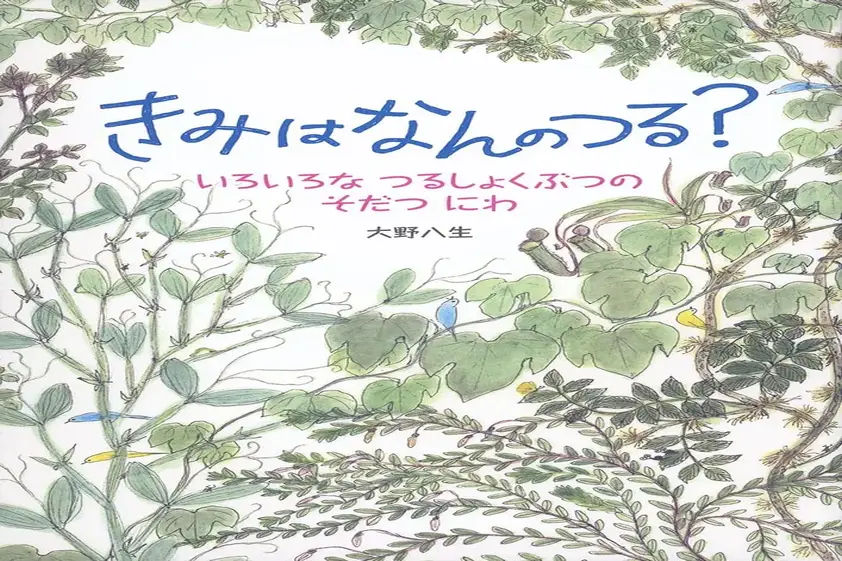 【日曜日の絵本】つるに注目!緑の庭のいろいろなつる植物を描く一冊 イメージ