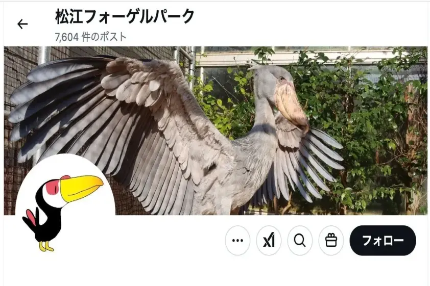 動物園のハシビロコウが「舞台のショースターみたい」と話題⇒日光浴中だった イメージ