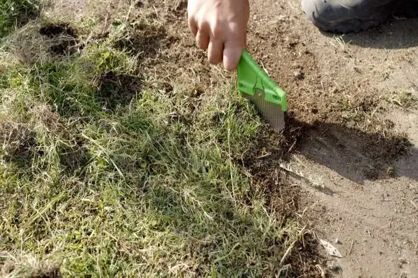 【雑草処理】ホムセンで人気の除草アイテム試してみた!サッと擦るだけの「雑草ブラシ」が想像以上に使える イメージ